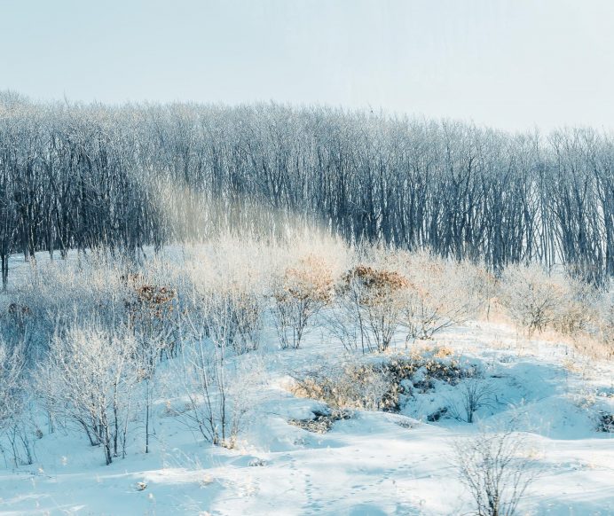 Hokkaido tuyết trắng, nơi đáng đến nhất mùa đông ở Nhật Bản