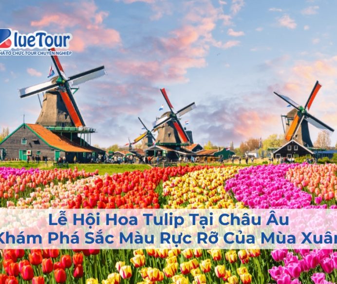 Lễ Hội Hoa Tulip Tại Châu Âu: Khám Phá Sắc Màu Rực Rỡ Của Mùa Xuân
