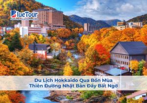 Du Lịch Hokkaido Qua Bốn Mùa: Thiên Đường Nhật Bản Đầy Bất Ngờ