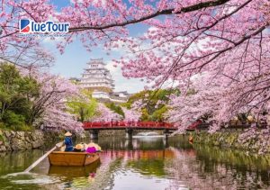 Du Lịch Hokkaido Qua Bốn Mùa: Thiên Đường Nhật Bản Đầy Bất Ngờ