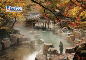 Du Lịch Hokkaido Qua Bốn Mùa: Thiên Đường Nhật Bản Đầy Bất Ngờ