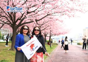 Ký Sự Về Nhật Bản - Mùa Hoa Anh Đào