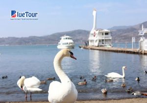 Ký Sự Về Nhật Bản - Mùa Hoa Anh Đào