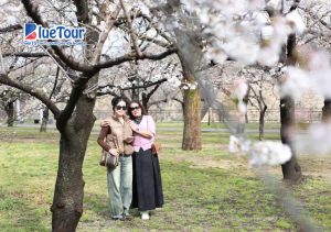 Ký Sự Về Nhật Bản - Mùa Hoa Anh Đào