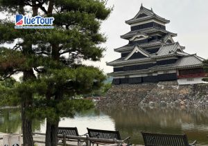 Vi Vu Cung Đường Tuyết - Lạc Trong Hơi Thở Mát Lạnh Giữa Mùa Hè Oi Ả