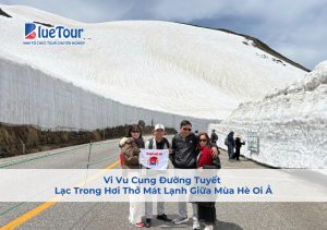 Vi Vu Cung Đường Tuyết - Lạc Trong Hơi Thở Mát Lạnh Giữa Mùa Hè Oi Ả