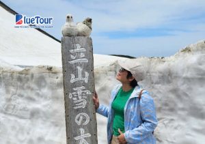 Vi Vu Cung Đường Tuyết - Lạc Trong Hơi Thở Mát Lạnh Giữa Mùa Hè Oi Ả