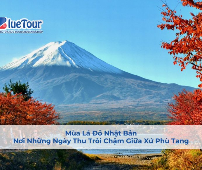 Mùa Lá Đỏ Nhật Bản – Nơi Những Ngày Thu Trôi Chậm Giữa Xứ Phù Tang