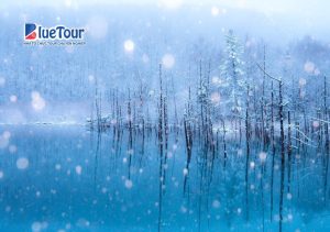 Đắm Say Hokkaido Mùa Tuyết Trắng – Xứ Sở Cổ Tích Giữa Đời Thực