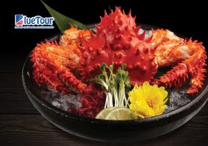 Đắm Say Hokkaido Mùa Tuyết Trắng – Xứ Sở Cổ Tích Giữa Đời Thực