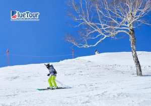 Đắm Say Hokkaido Mùa Tuyết Trắng – Xứ Sở Cổ Tích Giữa Đời Thực