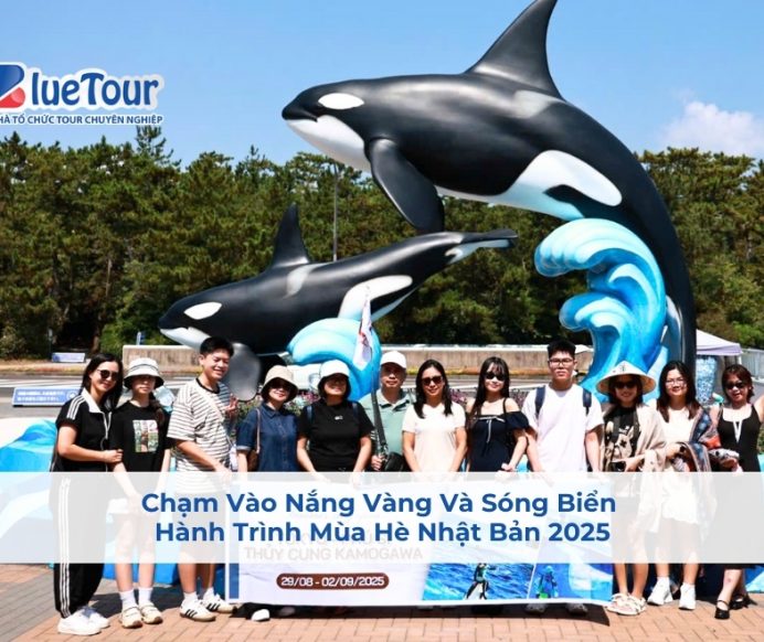 Chạm Vào Nắng Vàng Và Sóng Biển – Hành Trình Mùa Hè Nhật Bản 2025
