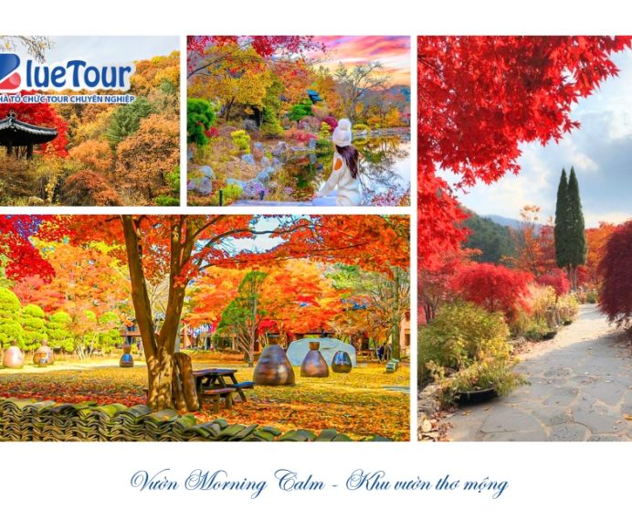 Hành Trình Sắc Màu Với Kinh Nghiệm Du Lịch Nước Nga