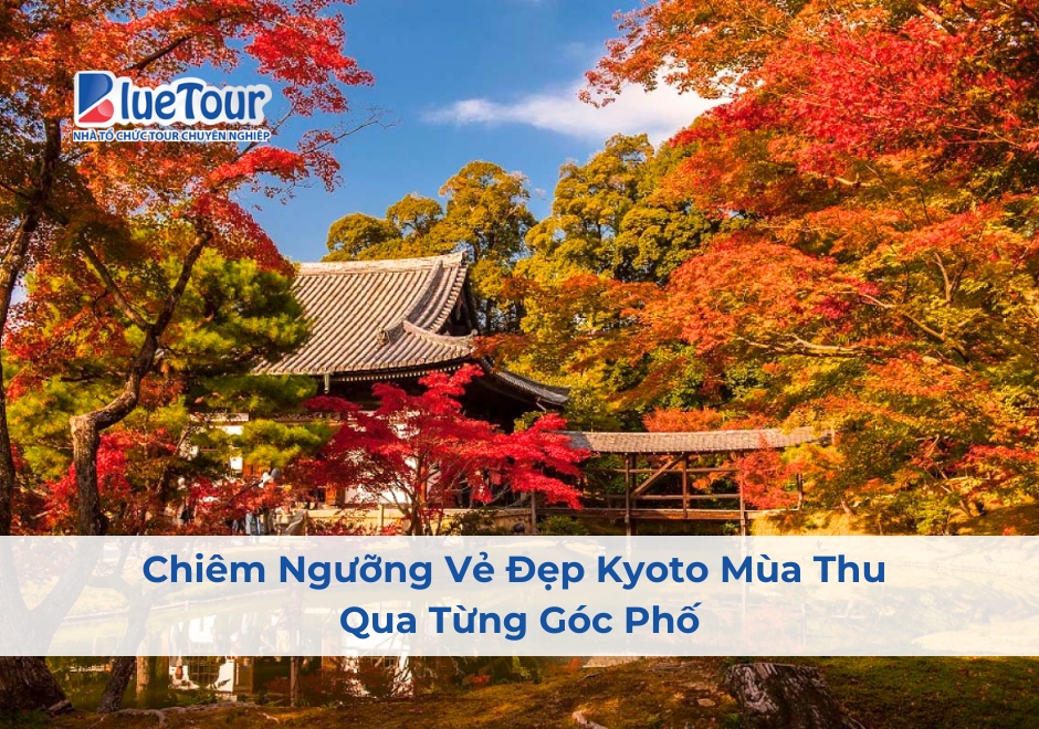 Chiêm Ngưỡng Vẻ Đẹp Kyoto Mùa Thu Qua Từng Góc Phố