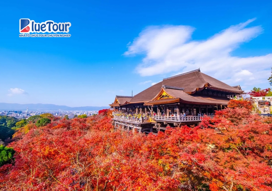 Chiêm Ngưỡng Vẻ Đẹp Kyoto Mùa Thu Qua Từng Góc Phố