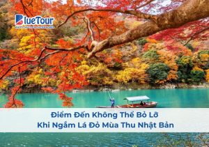Điểm Đến Không Thể Bỏ Lỡ Khi Ngắm Lá Đỏ Mùa Thu Nhật Bản