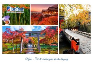 Điểm Đến Không Thể Bỏ Lỡ Khi Ngắm Lá Đỏ Mùa Thu Nhật Bản