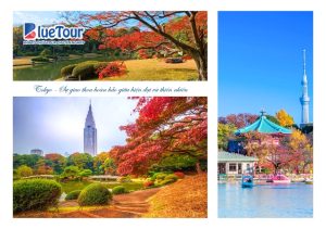 Điểm Đến Không Thể Bỏ Lỡ Khi Ngắm Lá Đỏ Mùa Thu Nhật Bản