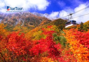 Điểm Đến Không Thể Bỏ Lỡ Khi Ngắm Lá Đỏ Mùa Thu Nhật Bản