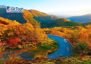 Điểm Đến Không Thể Bỏ Lỡ Khi Ngắm Lá Đỏ Mùa Thu Nhật Bản