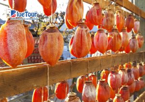 Bùng Nổ Vị Giác Với 10 Đặc Sản Ẩm Thực Mùa Thu Nhật Bản