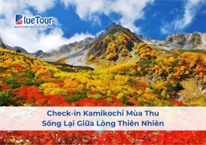 Check-in Kamikochi Mùa Thu: Sống Lại Giữa Lòng Thiên Nhiên