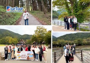 Đắm Mình Giữa Tiên Cảnh Hakuba - Khám Phá Cung Đường Romantic Mùa Thu Nhật Bản