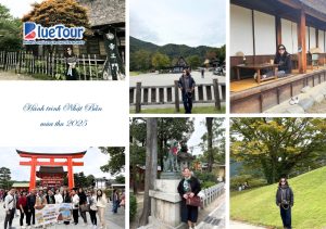 Đắm Mình Giữa Tiên Cảnh Hakuba - Khám Phá Cung Đường Romantic Mùa Thu Nhật Bản