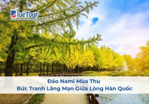 Đảo Nami Mùa Thu - Bức Tranh Lãng Mạn Giữa Lòng Hàn Quốc