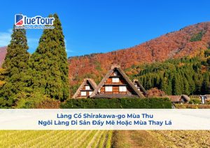 Làng Cổ Shirakawa-go Mùa Thu: Ngôi Làng Di Sản Đầy Mê Hoặc Mùa Thay Lá