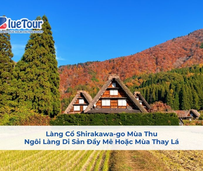 Làng Cổ Shirakawa-go Mùa Thu: Ngôi Làng Di Sản Đầy Mê Hoặc Mùa Thay Lá