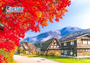 Làng Cổ Shirakawa-go Mùa Thu: Ngôi Làng Di Sản Đầy Mê Hoặc Mùa Thay Lá