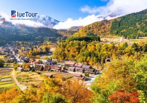Làng Cổ Shirakawa-go Mùa Thu: Ngôi Làng Di Sản Đầy Mê Hoặc Mùa Thay Lá