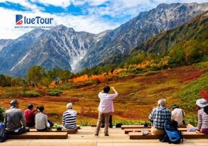 Làng Hakuba Mùa Thu: Thiên Đường Phía Bắc Dãy Alps Thay Áo