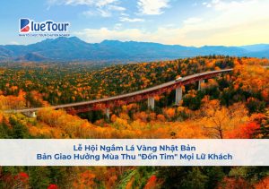 Lễ Hội Ngắm Lá Vàng Nhật Bản: Bản Giao Hưởng Mùa Thu "Đốn Tim" Mọi Lữ Khách