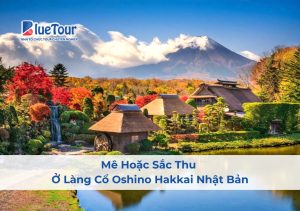 Mê Hoặc Sắc Thu Ở Làng Cổ Oshino Hakkai Nhật Bản