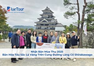 Nhật Bản Mùa Thu 2025 - Bản Hòa Tấu Sắc Lá Vàng Trên Cung Đường Làng Cổ Shirakawago