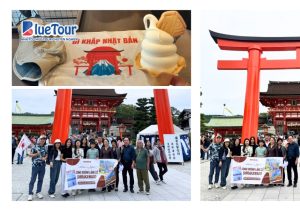 Nhật Bản Mùa Thu 2025 - Bản Hòa Tấu Sắc Lá Vàng Trên Cung Đường Làng Cổ Shirakawago