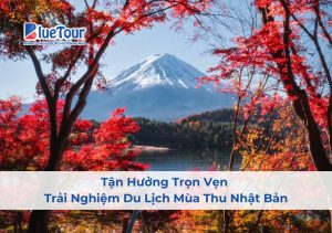 Tận Hưởng Trọn Vẹn Trải Nghiệm Du Lịch Mùa Thu Nhật Bản
