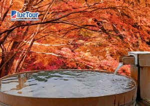 Tận Hưởng Trọn Vẹn Trải Nghiệm Du Lịch Mùa Thu Nhật Bản