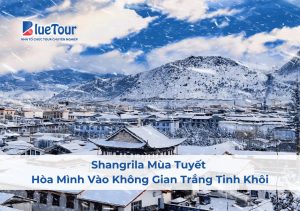 Shangrila Mùa Tuyết - Hòa Mình Vào Không Gian Trắng Tinh Khôi
