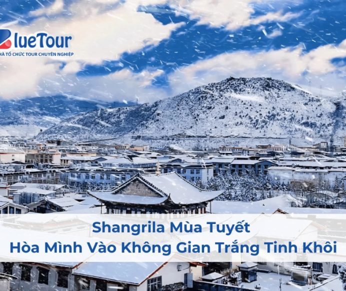 Shangrila Mùa Tuyết – Hòa Mình Vào Không Gian Trắng Tinh Khôi