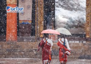 Shangrila Mùa Tuyết - Hòa Mình Vào Không Gian Trắng Tinh Khôi