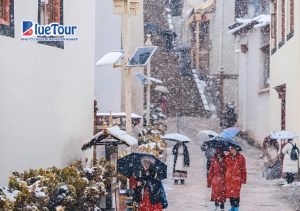 Shangrila Mùa Tuyết - Hòa Mình Vào Không Gian Trắng Tinh Khôi