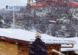 Shangrila Mùa Tuyết - Hòa Mình Vào Không Gian Trắng Tinh Khôi