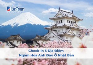 Check-in 5 Địa Điểm Ngắm Hoa Anh Đào Ở Nhật Bản