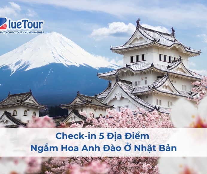 Check-in 5 Địa Điểm Ngắm Hoa Anh Đào Ở Nhật Bản