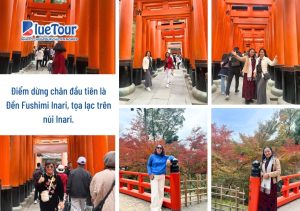 Khi Mùa Thu Nhật Bản Gõ Cửa: Trải Nghiệm Cổ Tích Tại Làng Shirakawago