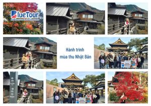 Khi Mùa Thu Nhật Bản Gõ Cửa: Trải Nghiệm Cổ Tích Tại Làng Shirakawago