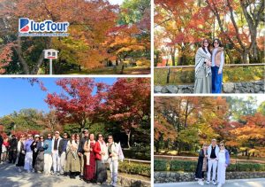 Khi Mùa Thu Nhật Bản Gõ Cửa: Trải Nghiệm Cổ Tích Tại Làng Shirakawago